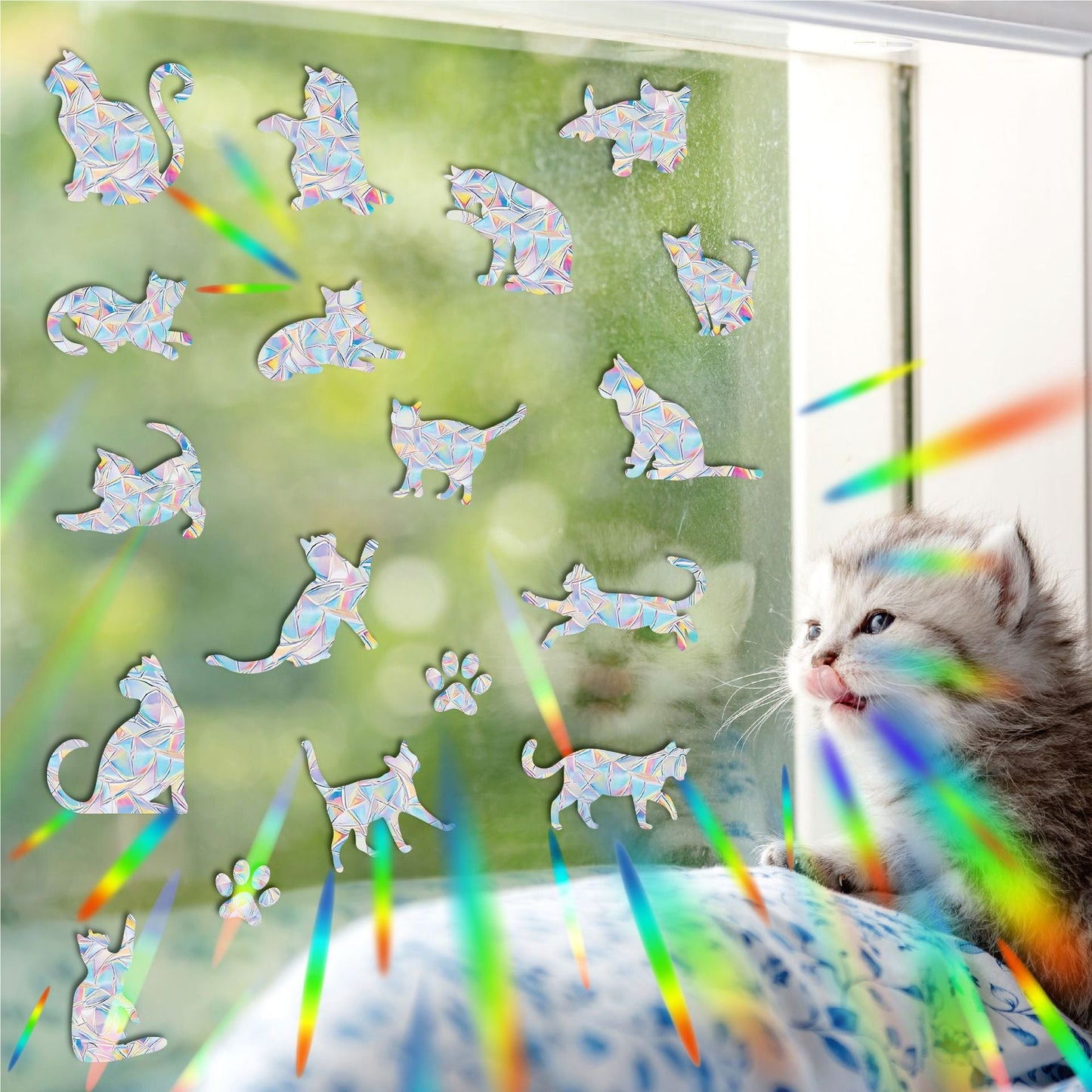 Naklejki na Okno z Tęczą