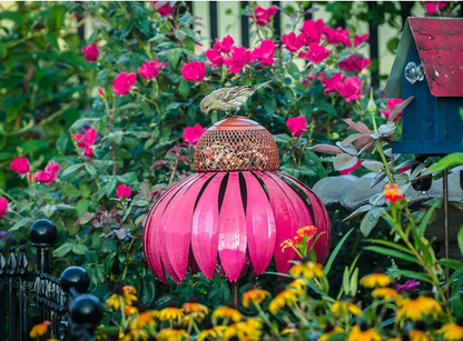 Stacja Karmienia Ptaków w Kształcie Kwiatu